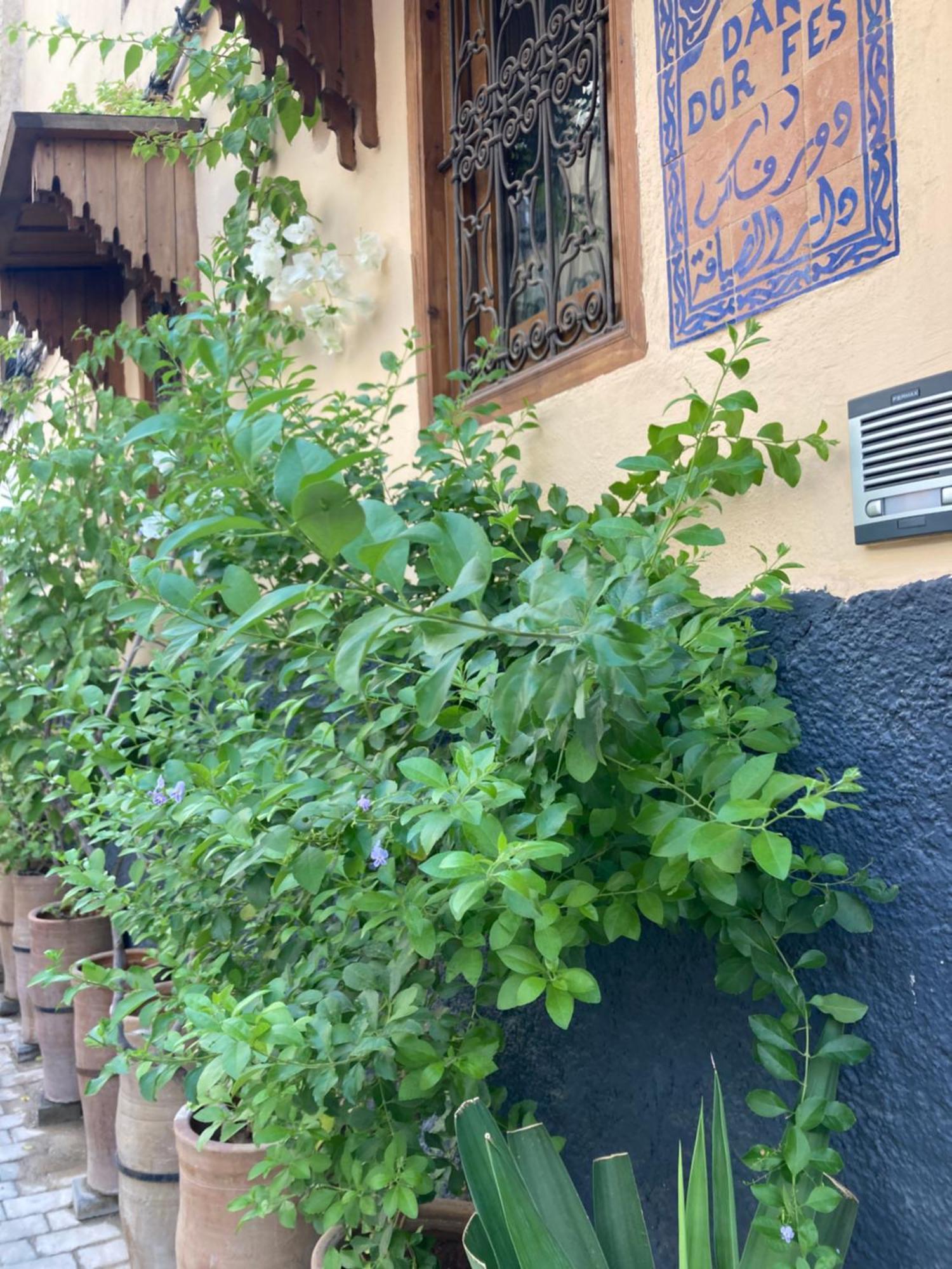 Hotel Dar D'Or Fez Esterno foto